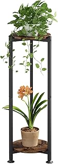 Plant Stand Indoor Corner Tall 2 Tier Metal Modern Flower Storage Plant Shelf Holder for Living Room Balcony Garden,Black (2 Tier-Black Round)