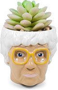 Silver Buffalo The Golden Girls Sophia Face Mini Ceramic Planter Decor | Official TV Show Collectible | Small Flower Pot for Indoor Plants, Includes Artificial Succulent | 3 Inches