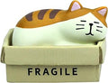 RAQWI Cute Box Cat Figurine Resin Cat for Office, Home Decoration Perfect Cute Cat Gift for Cat Lovers