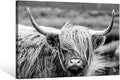 SEVEN WALL ARTS Highland Cow Photography Wildlife Portrait Picture Black and White Closeup Animal Print Scottish Highland Cattle Framed Farmhouse Artwork for Living Room Bedroom Office Decor 36"x24"