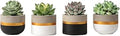Mkono 3 Inch Mini Succulent Pots Concrete Planter Set, Modern Tiny Container for Indoor Plants, Christmas Home Office Decor Gifts for Plant Lovers (Plant NOT Included)