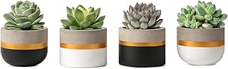 Mkono 3 Inch Mini Succulent Pots Concrete Planter Set, Modern Tiny Container for Indoor Plants, Christmas Home Office Decor Gifts for Plant Lovers (Plant NOT Included)