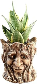 Funny Planter Head Face Plant Pot with Drainage Hole Resin Succulent Plant Holder Pencil Holder Desk Organizer Office Garden Gift (Smile Face)
