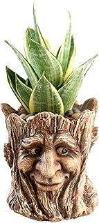 Funny Planter Head Face Plant Pot with Drainage Hole Resin Succulent Plant Holder Pencil Holder Desk Organizer Office Garden Gift (Smile Face)