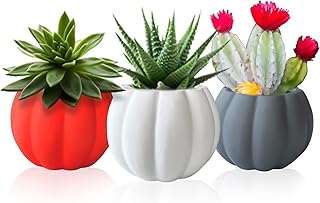 Ceramic Miniature Pumpkin Succulent Pots,Cute Halloween Decorations,Mini Pumpkin Decor Planters,Thanksgiving Decoration,Set of 3 Indoor/Outdoor Flower Pot,Fall Planter with Drainage Hole 3x4x2.3