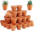 Winlyn 72 Pcs Small Mini Clay Pots - 2'' Terracotta Pot Ceramic Pottery Planter Terra Cotta Flower Pot Succulent Nursery Pots Great for Windowsill, Cactus Plant, Crafts, Wedding Favors Baby Shower