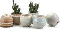 T4U Small Ceramic Succulent Pots with Drainage Set of 6, Mini for Plants, Tiny Porcelain Planter, Air Plant Flower Cactus Faux Plants Containers, Modern Decor Home and Office