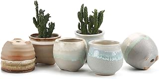 T4U Small Ceramic Succulent Pots with Drainage Set of 6, Mini for Plants, Tiny Porcelain Planter, Air Plant Flower Cactus Faux Plants Containers, Modern Decor Home and Office
