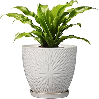 G EPGardening 8 Inch Ceramic Plant Pot with Drainage Hole and Saucer Round Planter Pot for Indoor Outdoor Plants Modern Large Flower Pot White