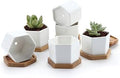 T4U Small White Succulent Planter Pots with Bamboo Tray Hexagon Set of 6, Geometric Ceramic Cactus Plant Holder, Gifts for Plant Lover Gardener Women, Home Office Table Desk Decoration