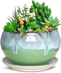 Dahlia 5.5'' Inch Rustic Drip Glazed Ceramic Planter/Succulent Pot/Plant Pot w. Saucer/Tray, Green