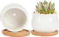 SHECIPIN 2 Pack Succulent Pots, 2.5 Inch Mini Ceramic Pots for Flower or Cactus Plants with Drainage Hole,Plants Not Included (White)