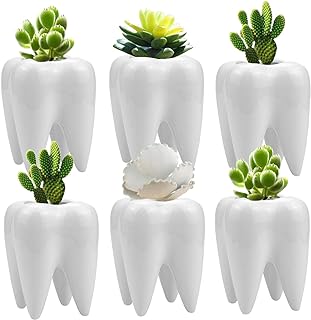 Hedume 6 Pack Tooth Shaped Planter Pots, Small Cute Flower Plant Containers, Mini Ceramic Succulent Planter Pots, Creative Pen Pencil Holder for Desk Decor
