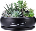 Koolkatkoo 8 Inch Cat Ceramic Succulent Planter Pot with Drainage Hole and Tray Flower Pot for Indoor and Outdoor Plants Round Shallow Planter Gifts for Cat Lovers Black