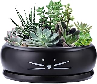 Koolkatkoo 8 Inch Cat Ceramic Succulent Planter Pot with Drainage Hole and Tray Flower Pot for Indoor and Outdoor Plants Round Shallow Planter Gifts for Cat Lovers Black