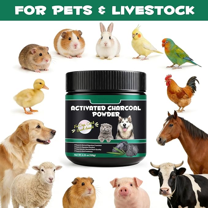 Activated Charcoal for Dogs & Cats – 120g Powder for Digestive Health & Normal Stool – Single Ingredient, Non-GMO, Gluten-Free Pet Supplement