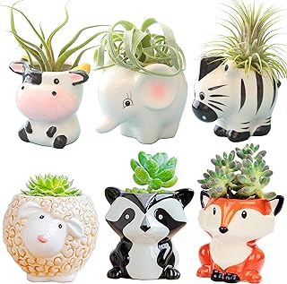 Melphoe 6Pcs Air Plant Holder Cartoon Shaped Small Succulent Pots Animal Planters Small Ceramic Pot Drainage for Mini Plant Cactus Flower, Tillandsia Air Fern, Display Stand Home, Office Desktop