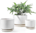 LE TAUCI Ceramic Pots for Plants, 4.3+5.3+6.8 Inch Plant Pots, Set of 3, Planters with Drainage Hole and Saucer, Indoor Flower Pot with Hole Mesh Pad, Gifts for Mom, White