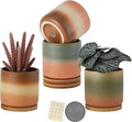 4 Inch Cylinder Ceramic Plant Pots with Drainage Hole and Saucers, Small Glazed Gradient Colors Flower Pot with Trays for Indoor Planter, Succulent, Cactus and Herbs, Set of 4