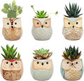 Lewondr Succulent Plant Pots, 6 Pack 2.5 Inch Mini Small Ceramic Owl Shaped Flower Pots with Drainage Holes, Flowerpots Planter Container Set for Home Office Desk Shelf Garden Patio Balcony Décor, 01