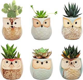 Lewondr Succulent Plant Pots, 6 Pack 2.5 Inch Mini Small Ceramic Owl Shaped Flower Pots with Drainage Holes, Flowerpots Planter Container Set for Home Office Desk Shelf Garden Patio Balcony Décor, 01