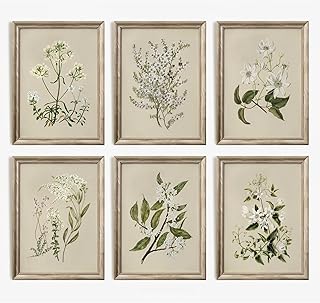 Vintage Botanical Wall Art Set of 6 Neutral Floral Canvas Wall Decor Wildflower Wall Art Watercolor Flower Prints Botanical Poster Minimalist Plant Pictures for Bedroom Living Room 8x10 Inch Unframed