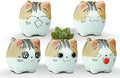 VanEnjoy Original Design Handmade Mini Cute Cartoon Ceramic Succulent Pots Planters With Drainage Hole - Cat Gifts for Cat Lovers Office - Pack of 5