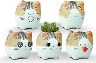 VanEnjoy Original Design Handmade Mini Cute Cartoon Ceramic Succulent Pots Planters With Drainage Hole - Cat Gifts for Cat Lovers Office - Pack of 5