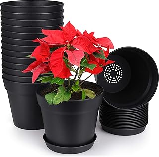 homenote Pots for Plants, 15 Pack 6 Inch Plastic Planters with Multiple Drainage Holes and Tray,Plant Pots for All Home Garden Flowers Succulents (Black)