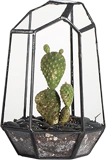 NCYP Small No Door Geometric Terrarium - 4.1" x 3.5" x 5.9" Miniature Irregular Glass Terrarium Planter for Mini Succulent Air Plants - Tabletop Garden Container, Black (No Plants)