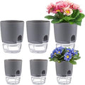 Aulock 6 pcs Self Watering Plant Pots - 4.1/3.2 in Plastic Planter with Drainage Holes, Flower Pots for African Violet, Mini Indoor Plants, Succulents, Herbs, Cactus, Basil, Grey