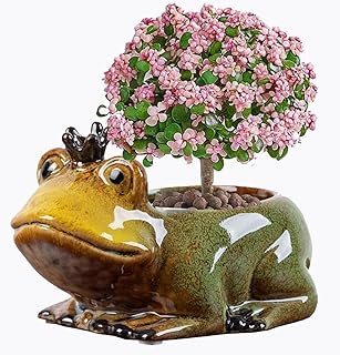 Animal Shaped Planter Flower Pot Frog Shape Small Succulent pots with Drainage Ceramic Animal Planter, Indoor Plant Container Planter with Drainage Hole Home Office Desk Garden (Frog)