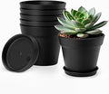 4 Inch Plastic Plant Pots 6 Pack, Small Flower Pots with Drainage Holes and Tray, Thickened Indoor Planters Seedlings Nursery Pots, African Violet, Succulent and All House Plants, Black