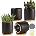 4 Inch Ceramic Plant Pots with Drainage Holes and Trays, Adorable Small Cylinder Flower Planter Pot for Indoor Plants, Succulent, Snake Plants, Cactus & Herbs, Black, Set of 4