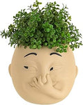 Funny Bathroom Planter Decor: Quirky Holding Nose Plant Pot Indoor for Bathroom Counter - Succulent Pot with Drainage - Unique Face Planter for Guest Bath room Counter Shelf Toilet Decoration