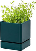 D'vine Dev 4 Inch Herb Planter Pot, Plastic Planter with Drainage Holes and Saucer, Modern Decorative Gardening Pot for Indoor Plants, Flowers, Herbs, Succulents, Green, Set of 1, 76-Y-C-1