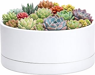 D'vine Dev 10 Inch Plastic Shallow Planter, Large Round Succulent Plant Pot with Drainage Hole and Sauce, Decorative Bonsai Pot for Indoor Plants, White, 76-Z-A-2
