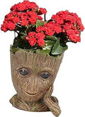 Funny Planter Head Planter with Drainage Hole Resin Plant Pot Pencil Holder Desk Storage(Funny Tree)