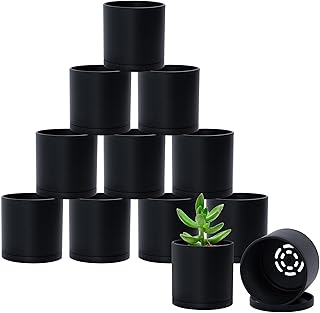 D'vine Dev 12 Pack 3.5 Inch Mini Plastic Plant Pots, Small Garden Planters for Plant with Drainage Holes and Saucers, Black Color, 74-Y-D-4