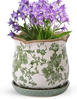 Ceramic-Planters-for-Indoor-Plants with Saucer, 6 inch Vintage Ice Crack Glaze Plant Pots with Drainage Holes, Decorative Flower Pots for Outdoor Garden Home Decor, Tuscan Pot for Plant