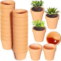 3 Inches Terracotta Clay Pots Pack of 26 pcs- Pottery Fleshy Flower Planter with Drainage Hole，for DIY Home and Office Desktop/Windowsill/Ornament Decoration Wedding