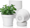 T4U 5 Inch Plant Pot 8-Pack, Plastic Pots with Drainage Hole and Saucer, Decorative Flower Pots Bulk for African Violet, Snake Plant, Succulent and All House Plants Indoor (8pcs 5" Pots, White)