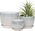 Ton Sin Grey Flower Pots, Texture Planter for Indoor Plants Set of 3 Ceramic Flower Pots with Saucer, Cute Garden Pots Succulent Pots, 6.75/5.6/4.2 Inch, Indoor Outdoor Home Garden Decor