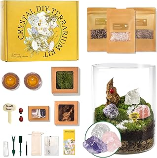 DIY Crystal Terrarium Kit - 21-Pieces All-In-One Starter Kit with Preserved Moss, Pumice, Crystals, Coconut Coir, Tools & Decor | Healing Gift for relaxing | Plants Lovers | Home & Desk Decor