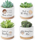 Mikopei Golden Girls Merchandise - Funny Succulent Pots Set of 4, Golden Girls Gifts for Women, Ceramic Mini Cute Planters with Bamboo Tray for Office Desk Indoor Decorations
