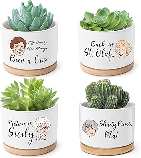 Mikopei Golden Girls Merchandise - Funny Succulent Pots Set of 4, Golden Girls Gifts for Women, Ceramic Mini Cute Planters with Bamboo Tray for Office Desk Indoor Decorations