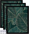 Black Picture Frame Set of 3, 8x10 Picture Frame for Photo Poster Canvas Certificate Document Display Horizontally or Vertically High Transparent Wall Gallery(Size 8 x 10 inches)