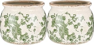 2 Pcs Vintage Planter Ceramic Plants Pot with Drainage Ice Crack Scroll Flower Vase Pot for Indoor Outdoor Plants Home Kitchen Decor Gifts (Vintage Floral,5.9")