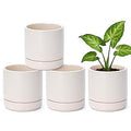 D'vine Dev Set of 4 Small Ceramic Plant Pots, 4.7 Inch Succulent Planter Pot for Plants with Drainage Hole and Saucer, Oatmeal, 94-X-B-8