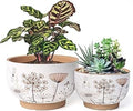 YBX 8 Inch + 6 Inch Ceramic Plant Pots, Succulent Flower Pots with Drainage Holes, Terracotta Planters for Indoor Plants, White&Terracotta (Garden)